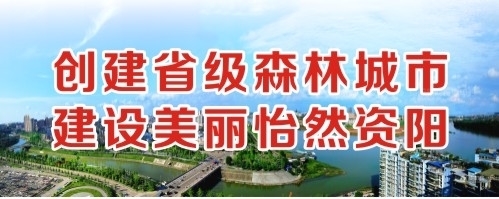 牛逼的电影网站创建省级森林城市 建设美丽怡然资阳